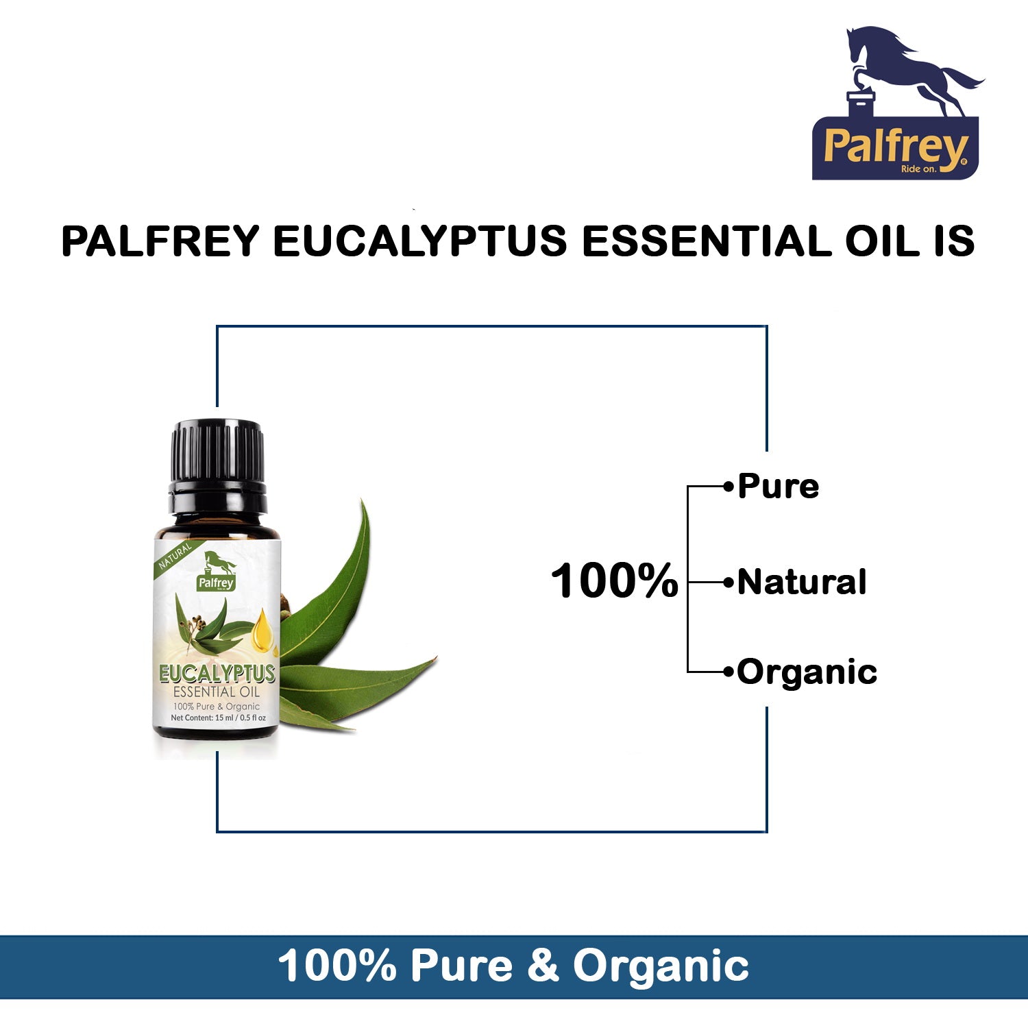 Palfrey Natural Eucalyptus Essential Oil 15ml